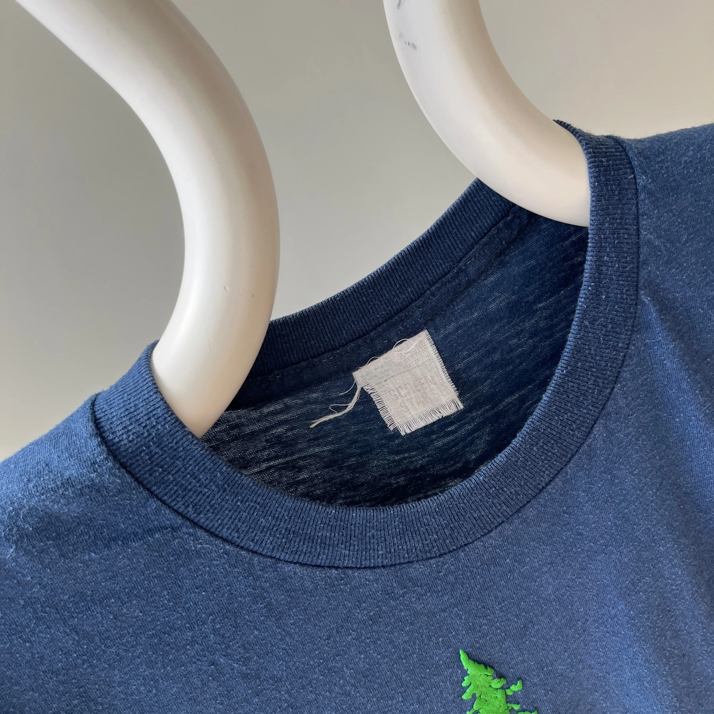 1970s Lake Tahoe T-Shirt by Early Tagged Screen Stars - !!!