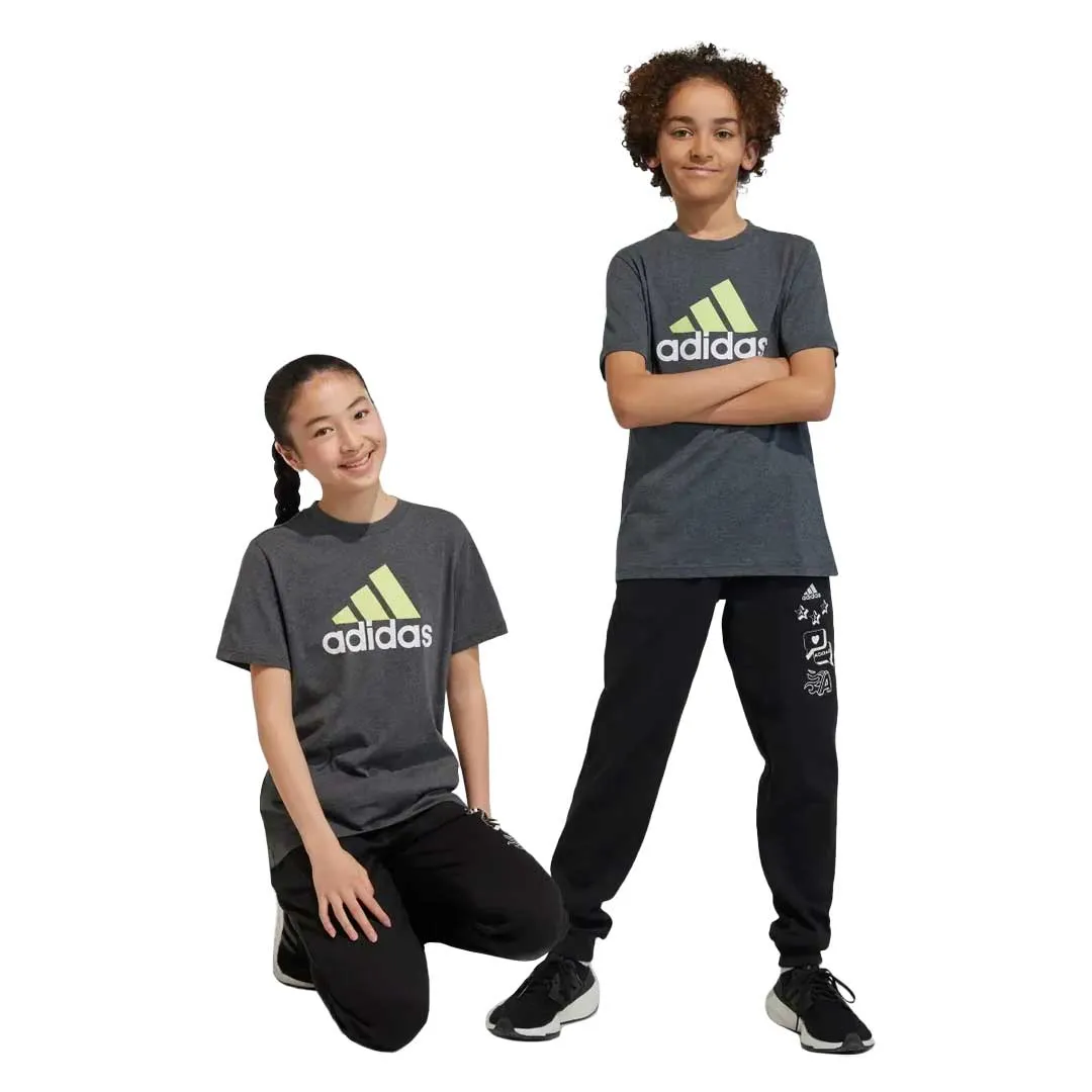 adidas - Kids' (Junior) Essentials Big Logo T-Shirt (IJ6286)