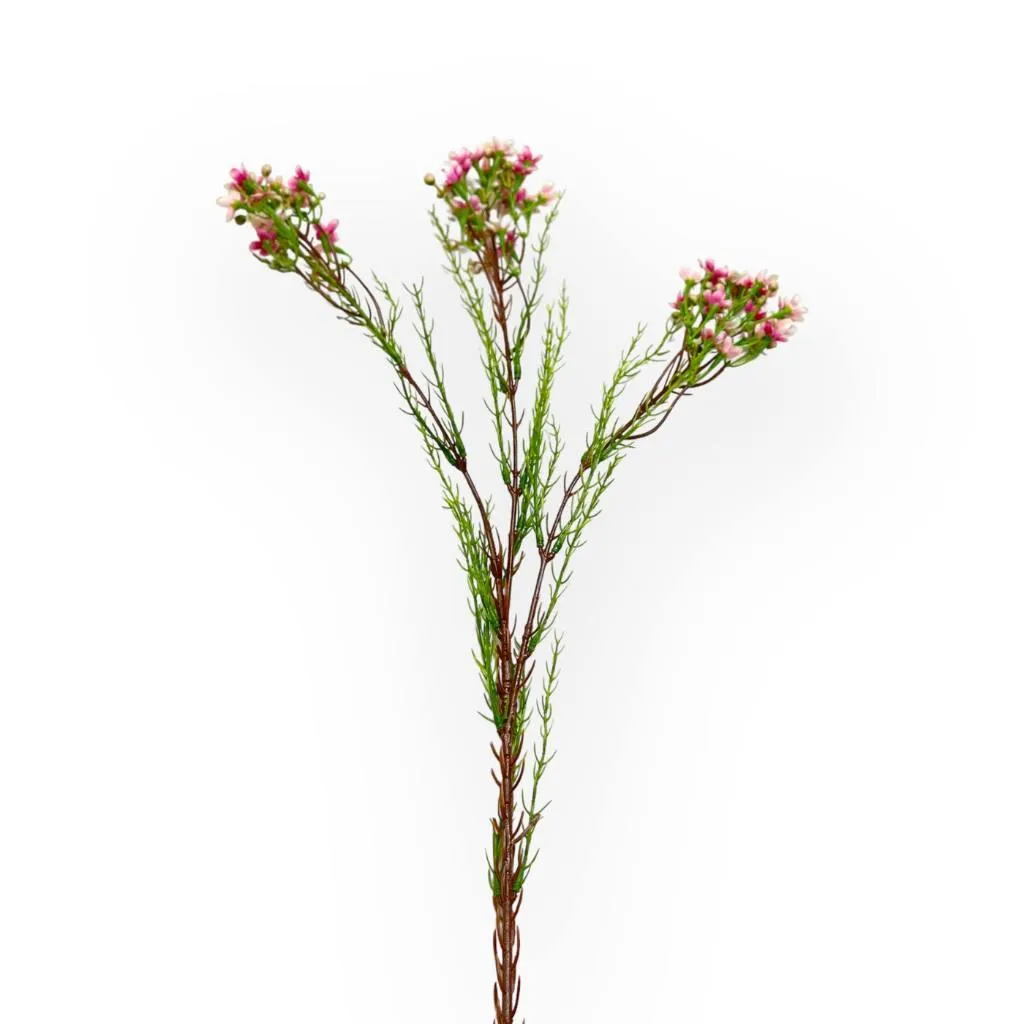 Wax Flower Pink  Artificial Flowers